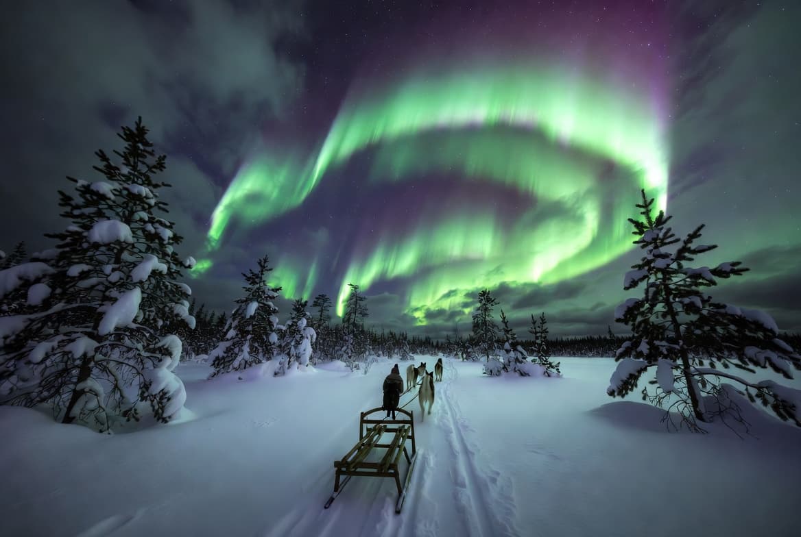 المناطق القطبية